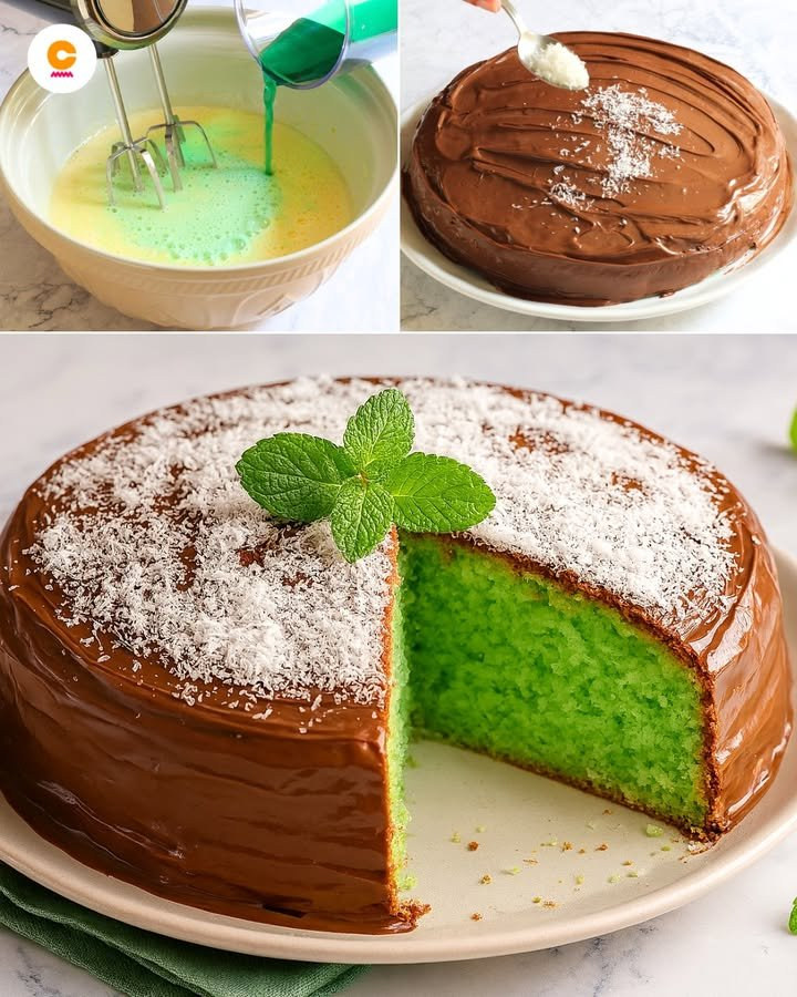 Torta dalla mollica verde con copertura al cioccolato e cocco bianco